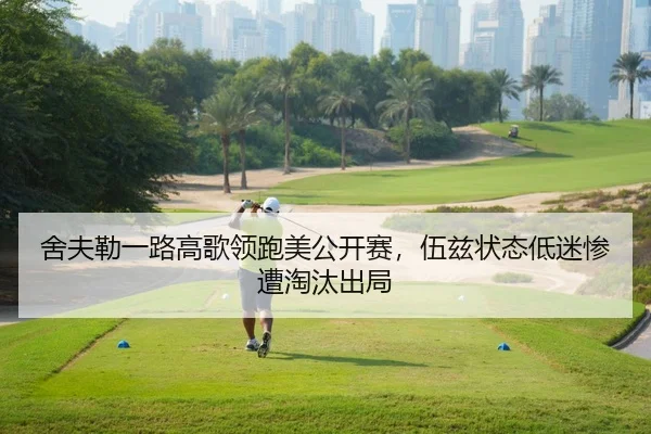 舍夫勒一路高歌领跑美公开赛，伍兹状态低迷惨遭淘汰出局